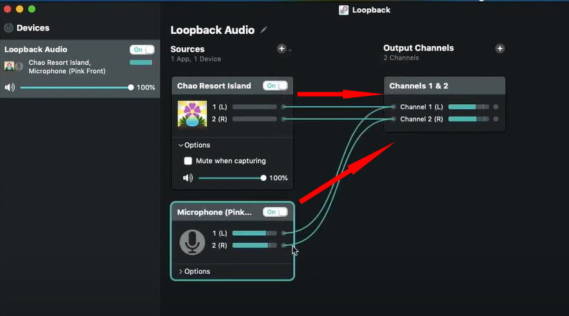 loopback create one virtual input