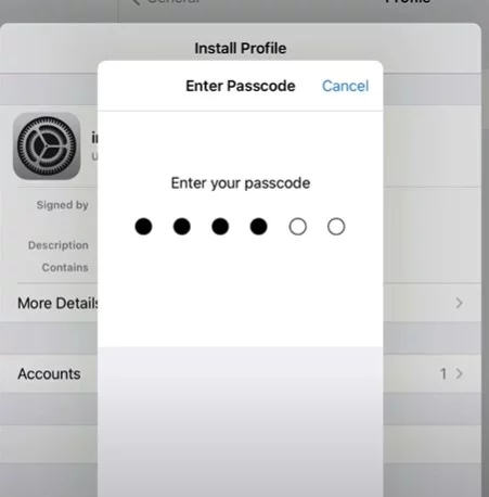 Enter your Iphone or iPad Password