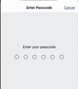 Type your iPhone password