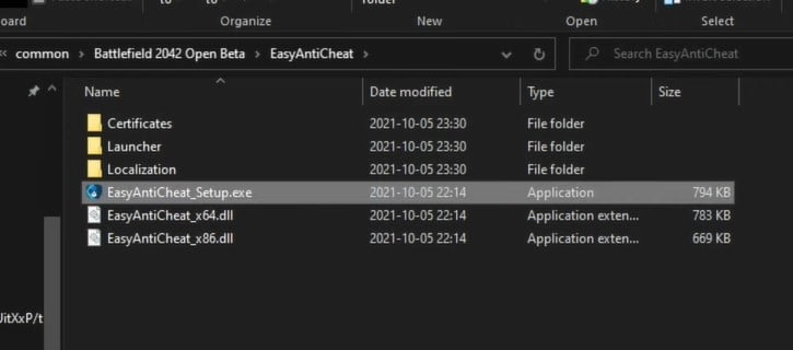 Run EasyAntiCheat folder file
